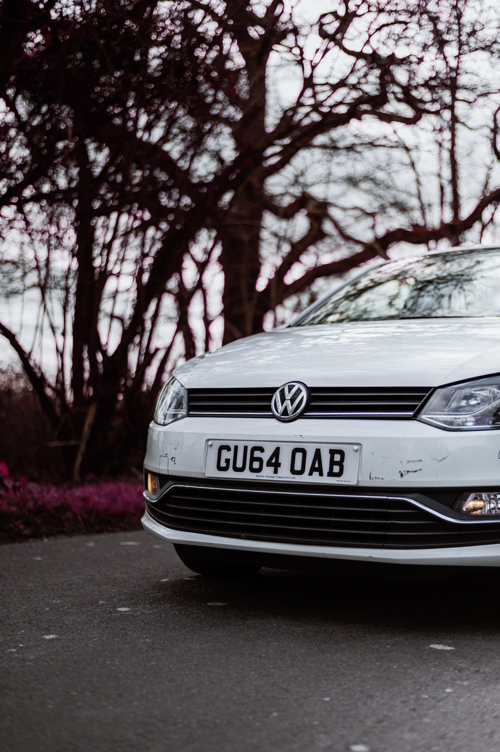 Volkswagen car with trees in background