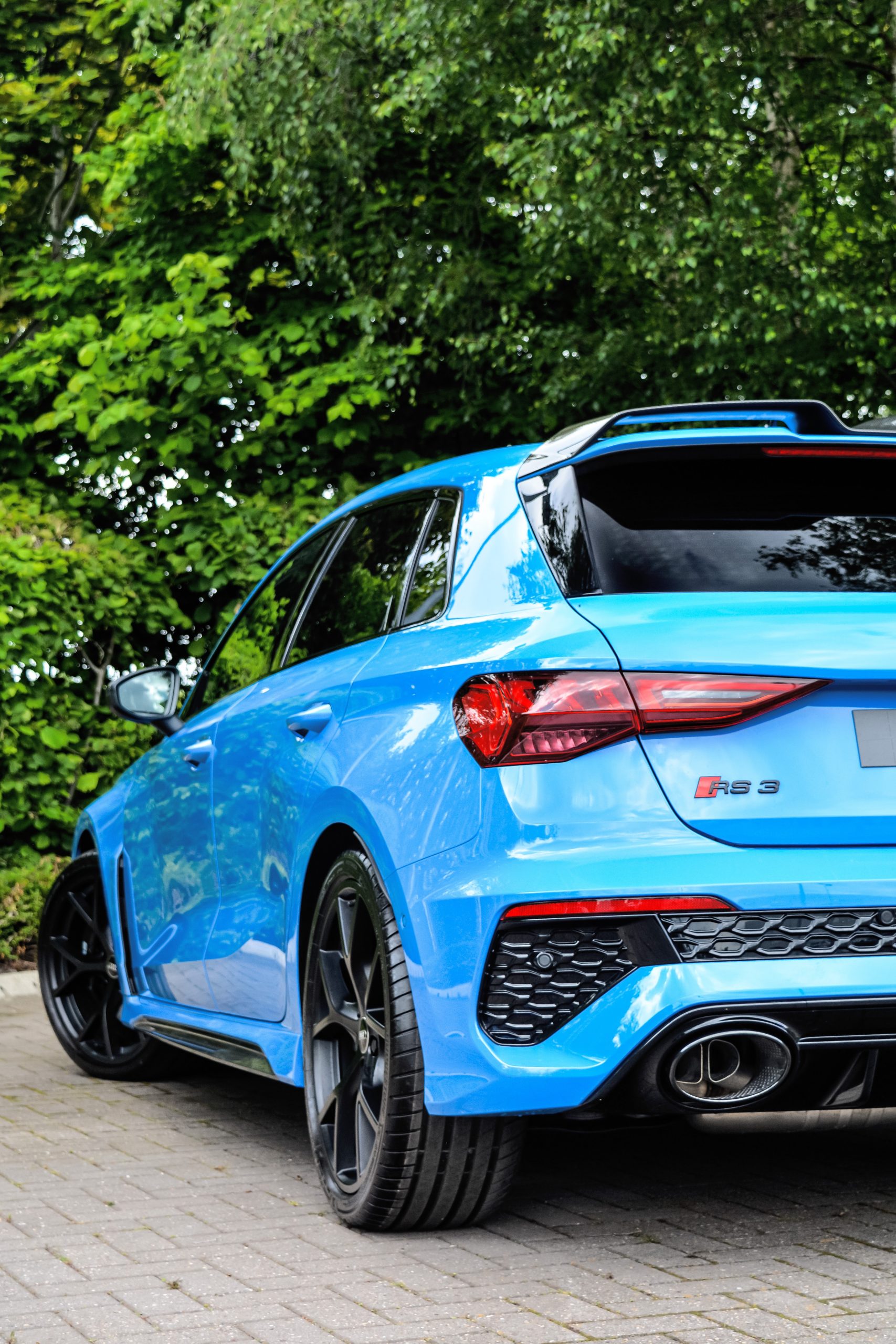 Blue Audi RS3 parked near a green bush.